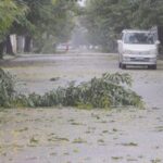 Fallen branches are seen on a street as Storm Freddy